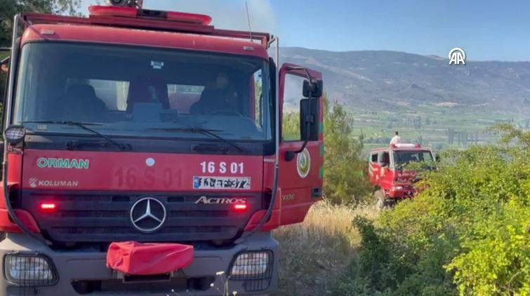 Sakarya'da orman yangını - Resim: 12